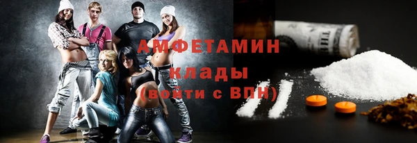 амф Дубна