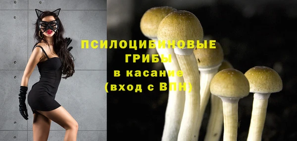 ешки Строитель