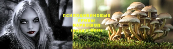 ешки Строитель