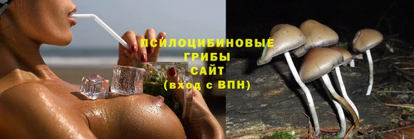 ешки Строитель