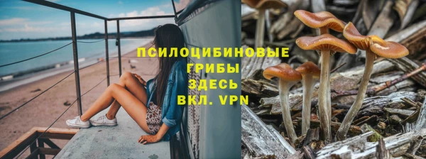 ешки Строитель