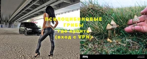 ешки Строитель