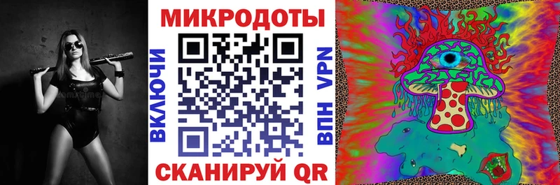 Псилоцибиновые грибы мицелий  купить закладку  блэк спрут ссылка  Ноябрьск 