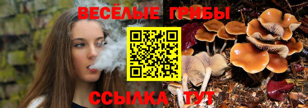 Ноябрьск  Галлюциногенные грибы Cubensis  Псилоцибиновые грибы Psilocybine cubensis  Вход с VPN 